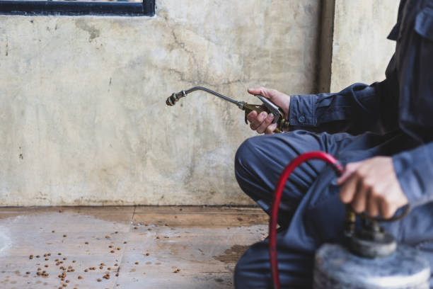 Reliable East San Gabriel, CA Pest Control Solutions